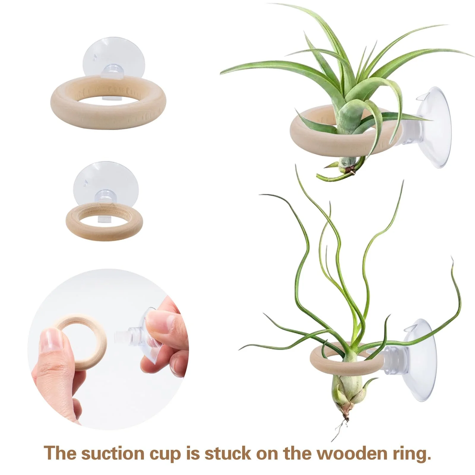 Тримачі для повітряних рослин 20 наборів з присосками Tillandsia Holder настінні для плитки, скла та вікон, фото №3 Тримачі для повітряних рослин 20 наборів з присосками Tillandsia Holder настінні для плитки, скла та вікон, фото №3