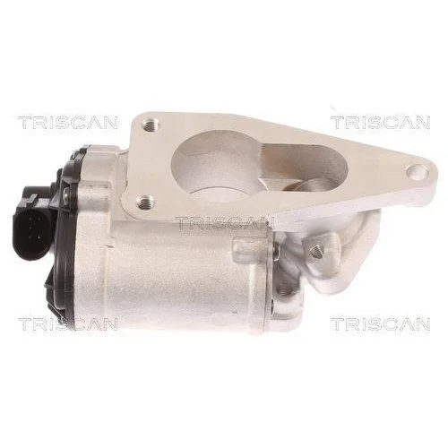 Клапан EGR TRISCAN 8813 25012 для RENAULT SUZUKI, фото №2