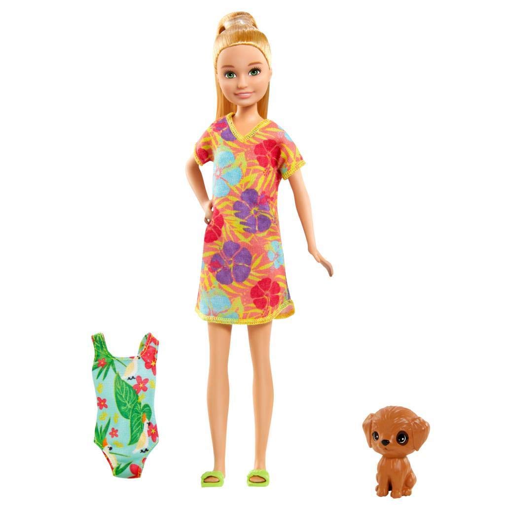 Кукла Barbie GRT89 Barbie and Chelsea "The Crazy Birthday" Stacie с аксессуарами для детей от 3 до 7 лет, фото №1