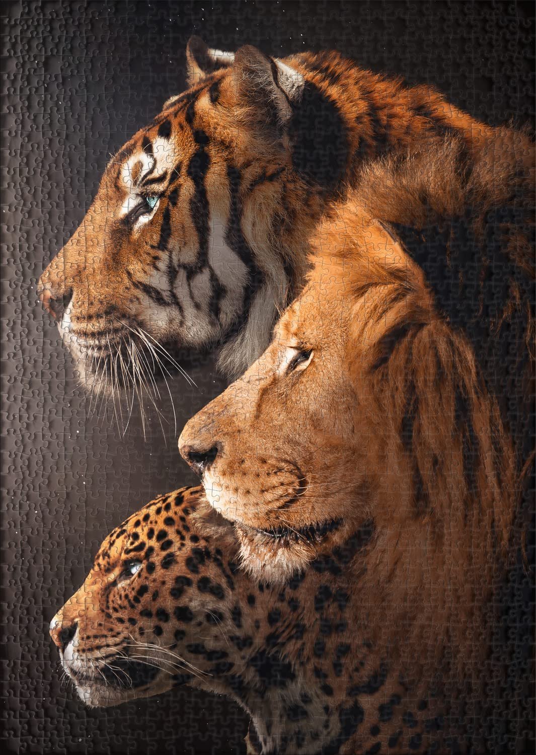 Пазл Ulmer Puzzleschmiede The Big Three 1000 деталей, фото №2 Пазл Ulmer Puzzleschmiede The Big Three 1000 деталей, фото №2