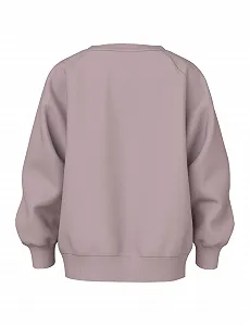 Реглан NAME IT Nmfvenus LS Nreg Sweat Bru synthetic.ua - Фото 1