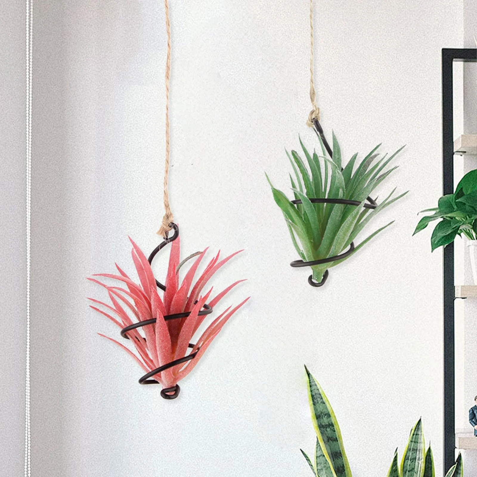 Набор подвесных держателей для воздушных растений 6 шт. с джутовыми веревками, фото №6 Набор подвесных держателей для воздушных растений 6 шт. с джутовыми веревками, фото №6