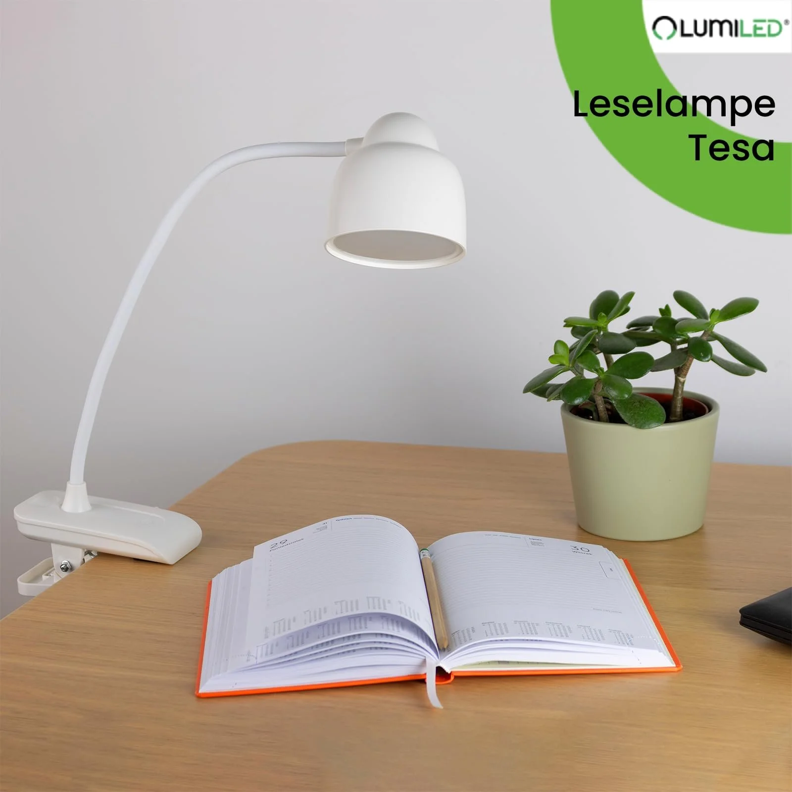 Настільна лампа Lumiled LED 5 Вт Димування CCT 3000/4500/6000K USB-C Гнучка шия Затискач Сенсорна Біла, фото №8