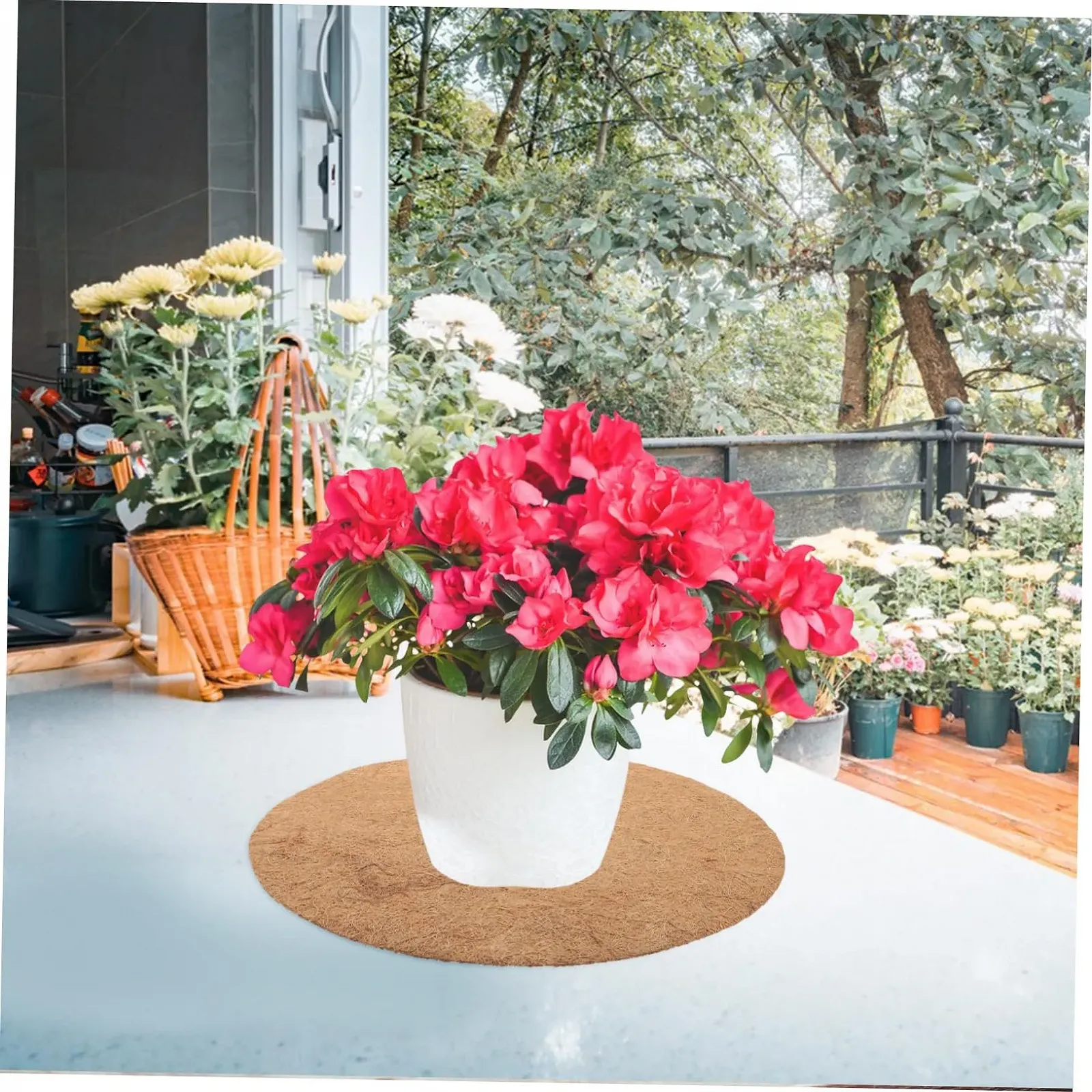 Кільця з кокосового волокна для кашпо HEMOTON Набір 4 шт. Мульчувальні декоративні, фото №4 Кільця з кокосового волокна для кашпо HEMOTON Набір 4 шт. Мульчувальні декоративні, фото №4