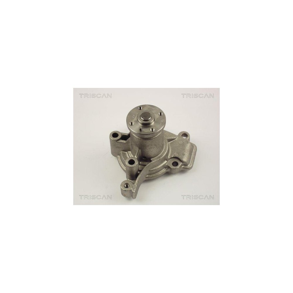 Водяний насос тягової батареї TRISCAN 8600 43004, фото №1