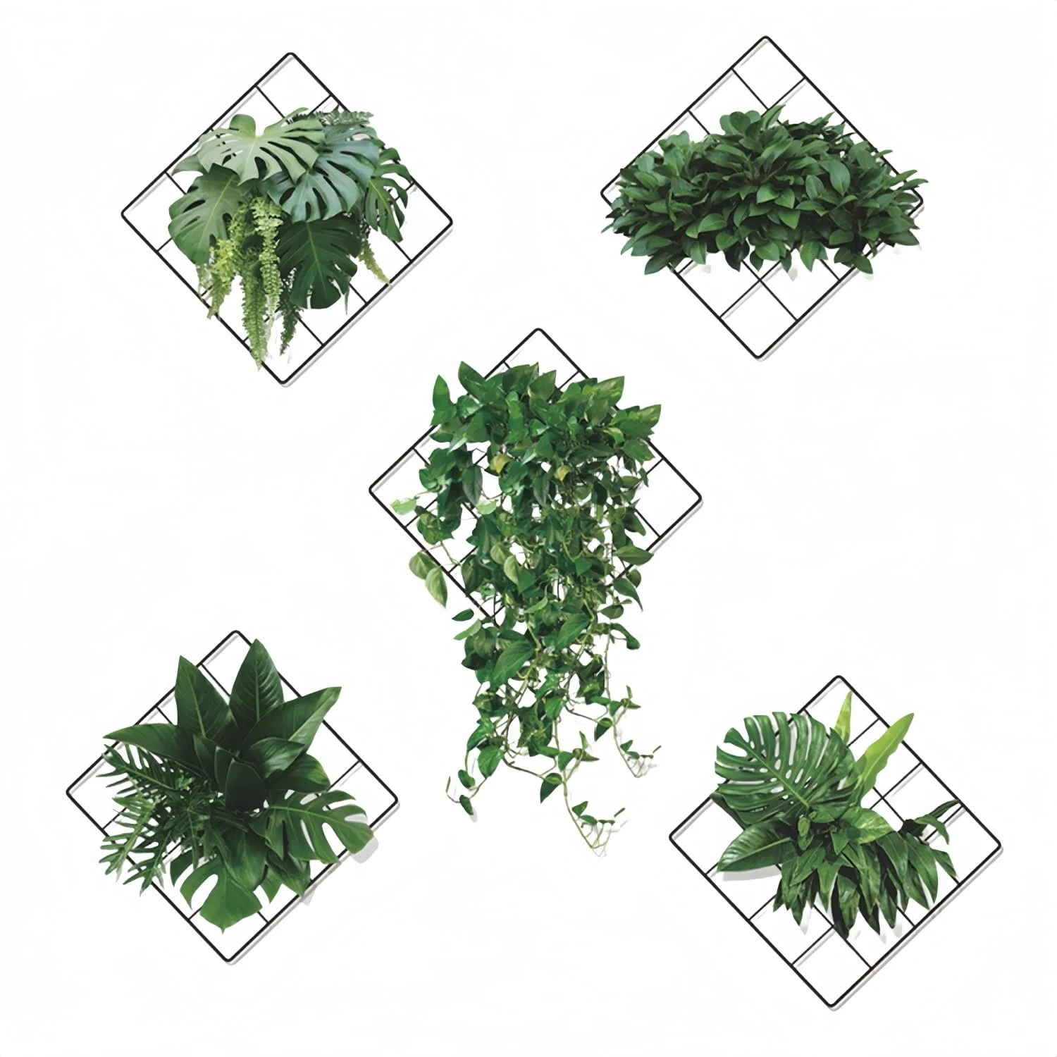 3D наклейки на стіну Alfven 6 Design Green Plants 30 x 29 см, фото №1