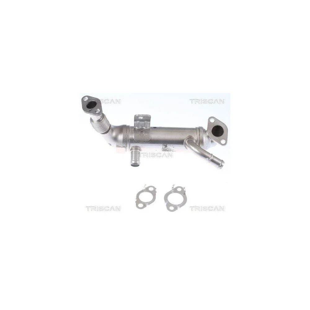 Радиатор EGR TRISCAN 8813 43106 для HYUNDAI KIA, фото №1