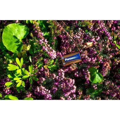 Батарейка PANASONIC Крона 6LR61 Alkaline Power 1 (6LF22APB/1BP / 6LR61REB/1BP), фото №4