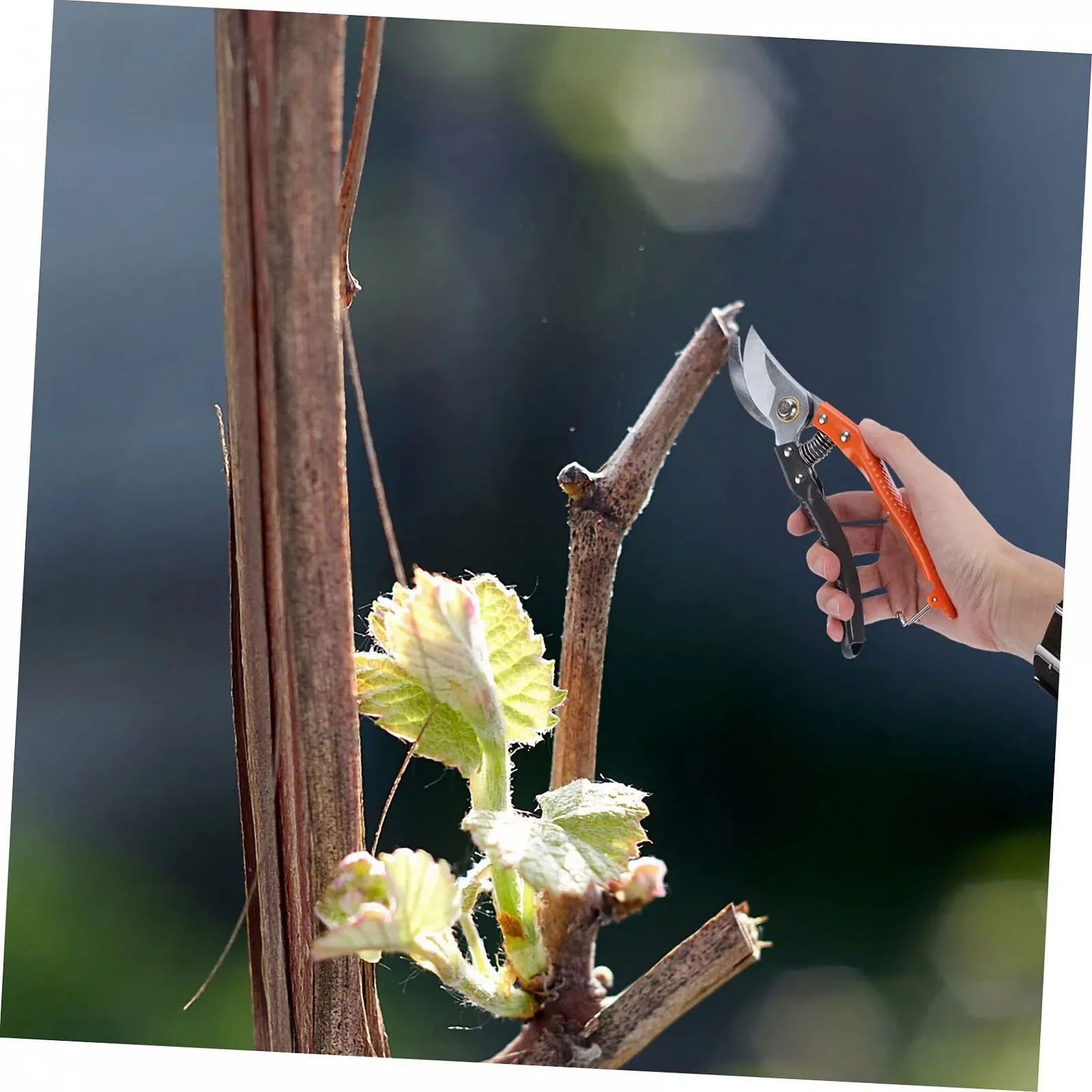 Секатор садовий Happyyami Марганцева сталь Різнокольоровий, фото №3