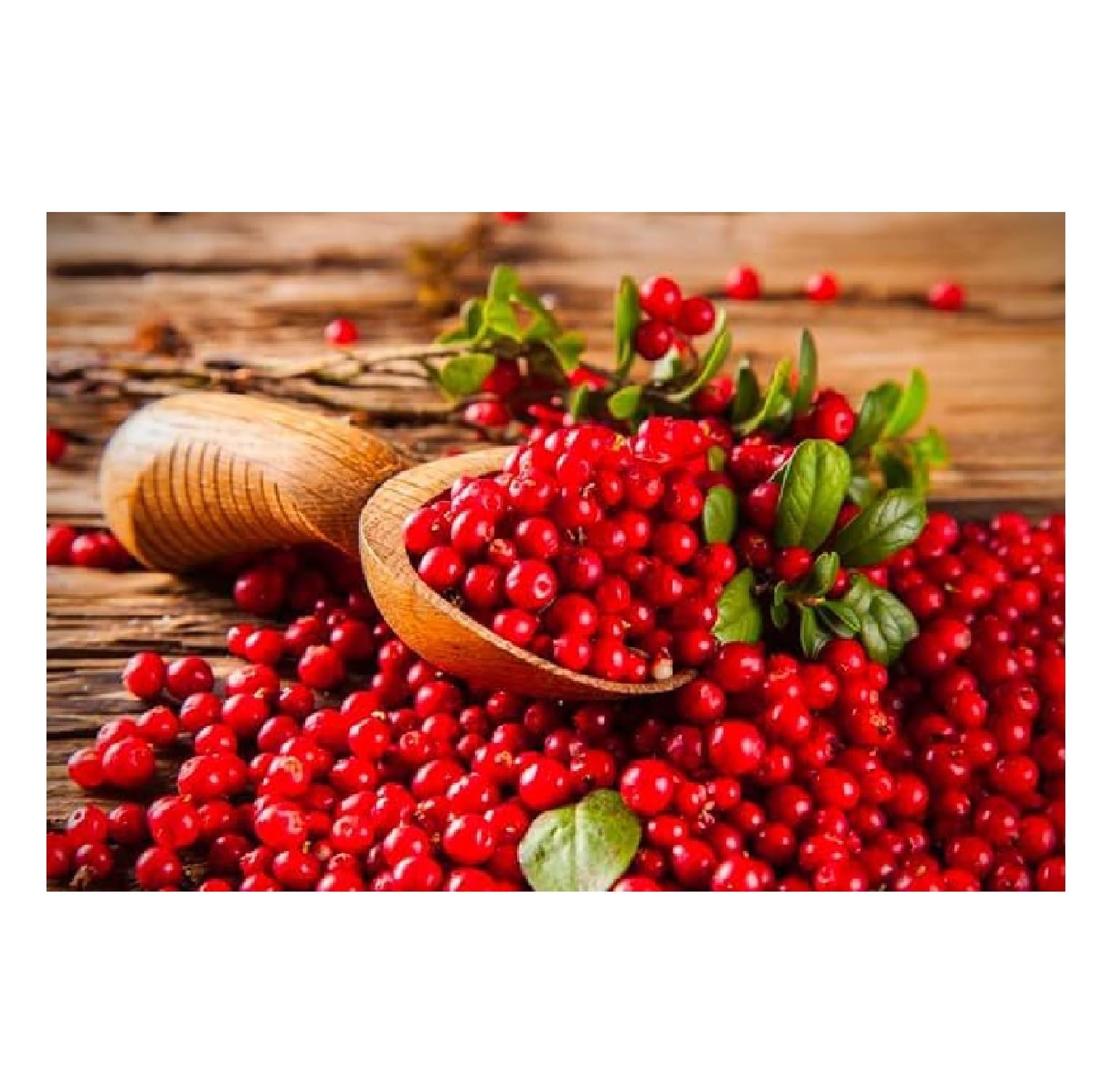 Гель для душу Vidal Goji Berry & Cranberry 12 x 500 мл, фото №4 Гель для душу Vidal Goji Berry & Cranberry 12 x 500 мл, фото №4