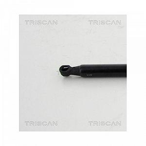 Газовая пружина багажника/грузового отсека TRISCAN 8710 24254 для CHEVROLET, сзади слева synthetic.ua - Фото 1