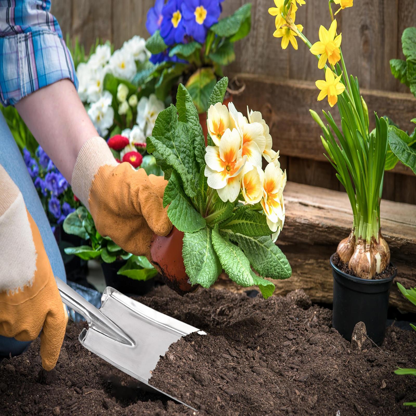 Лопата совковая Садовый Ручной для Пересадки Прополки Перемещения и Разглаживания Копания и Посадки, фото №3