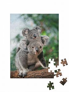 Пазл puzzleYOU Koalas Puzzle Collection Самка коалы с детенышем на спине 100 элементов цена на synthetic.ua - Фото 1 Пазл puzzleYOU Koalas Puzzle Collection Самка коалы с детенышем на спине 100 элементов synthetic.ua - Фото 1
