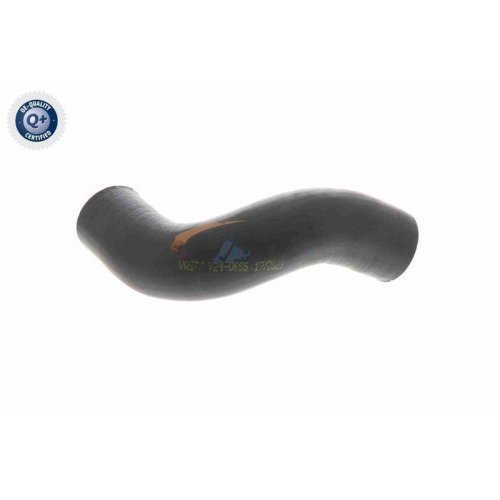 Шланг інтеркулера VAICO V24-0695 Q+ FIAT, фото №4