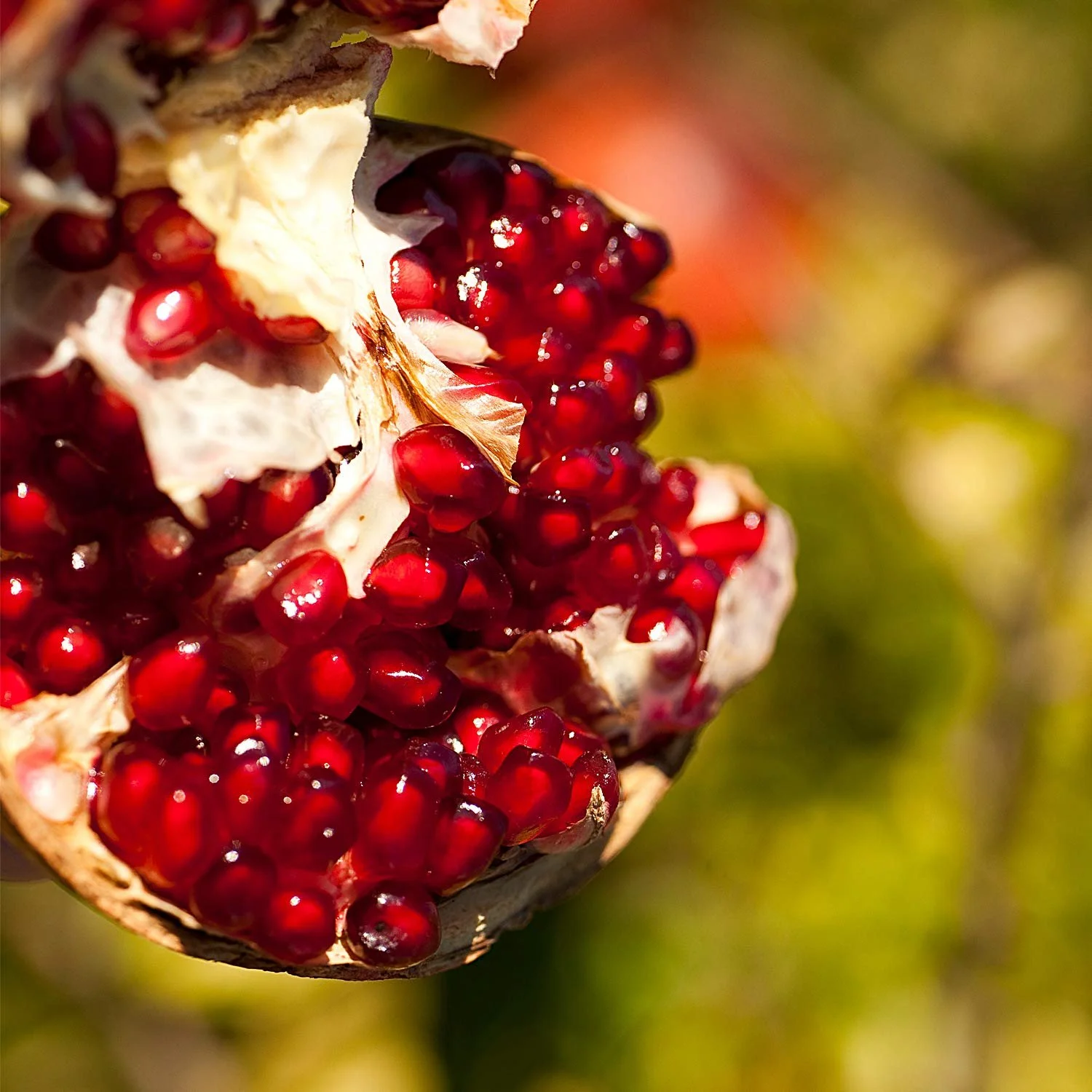 Крем для рук Weleda Organic Pomegranate Regeneration 50 мл, фото №6 Крем для рук Weleda Organic Pomegranate Regeneration 50 мл, фото №6