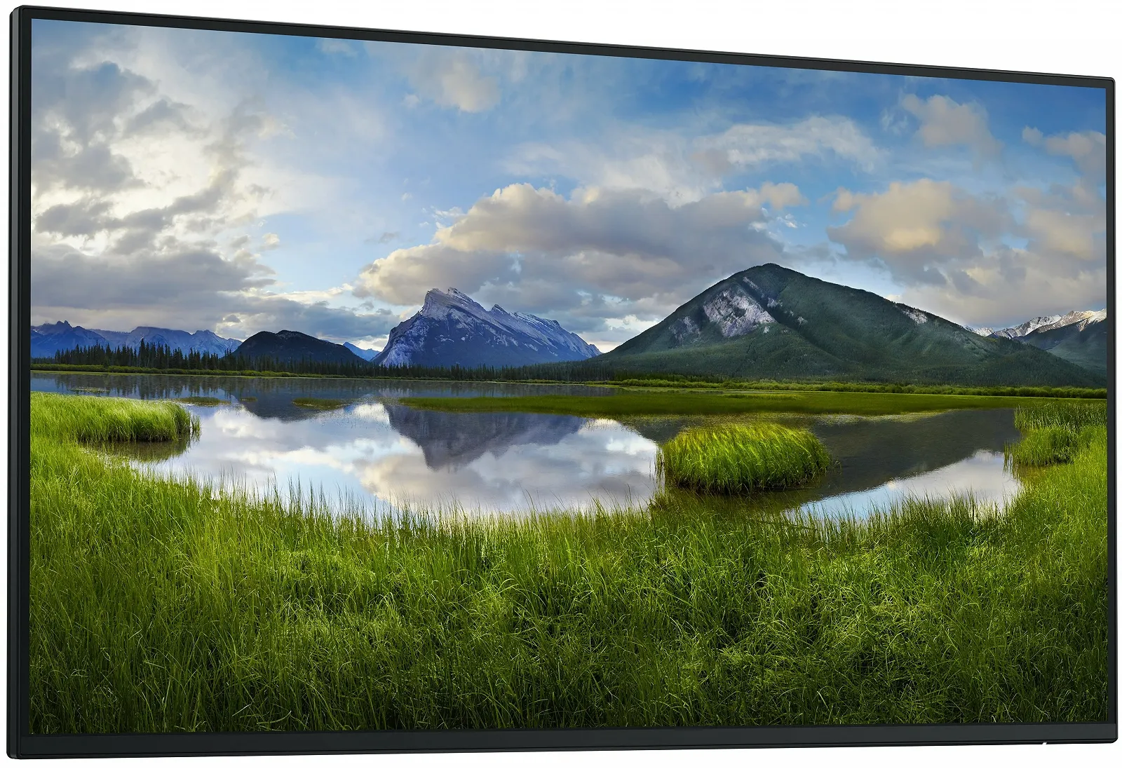 Монітор 27" Dell P2725H WOST Full HD IPS 100 Гц, фото №2