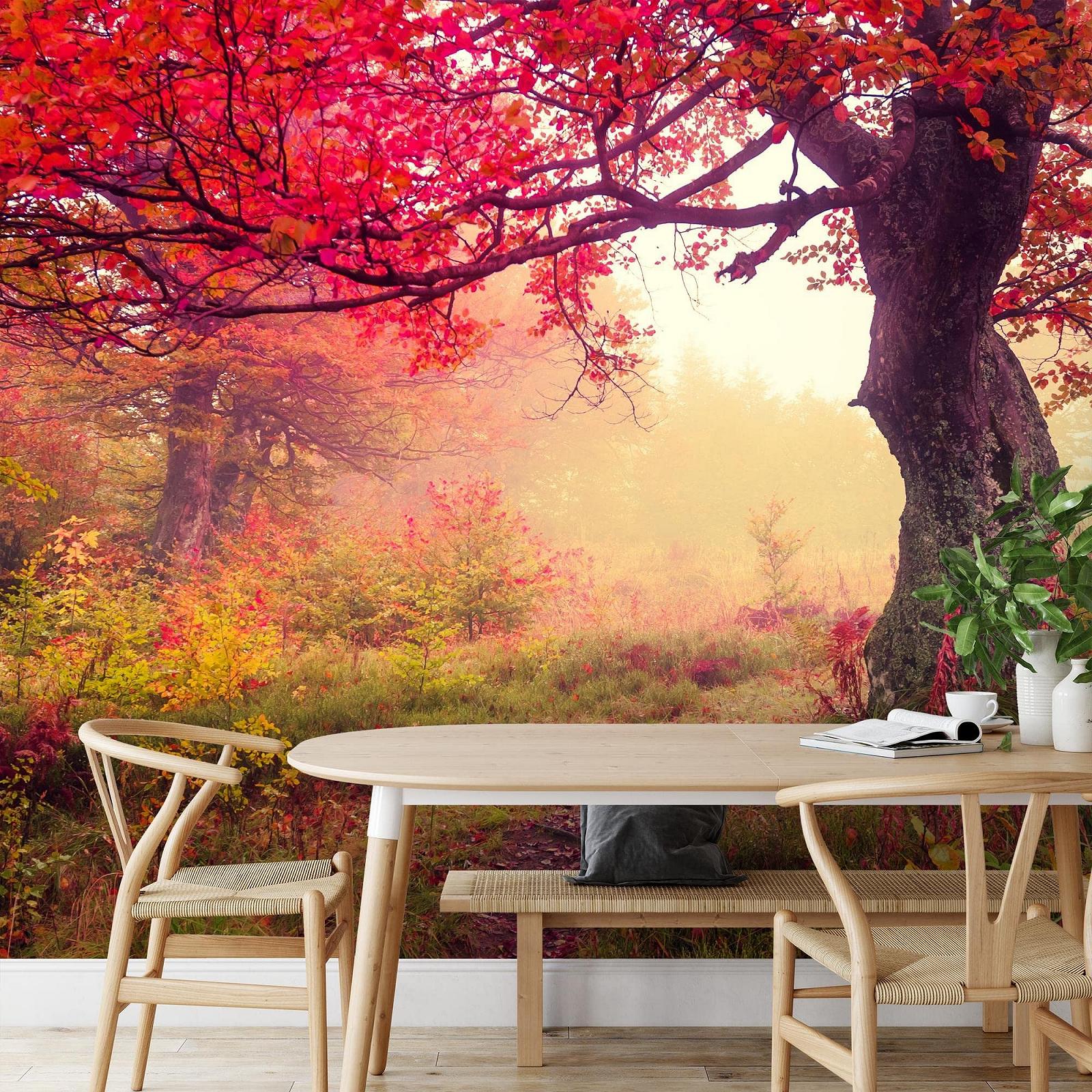 Фотошпалери 9079011a Autumn forest Флізелінові 352 x 250 см, фото №4