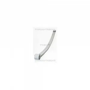 Листова ресора TRISCAN для CITROÃN FIAT PEUGEOT, задня вісь - Фото 1