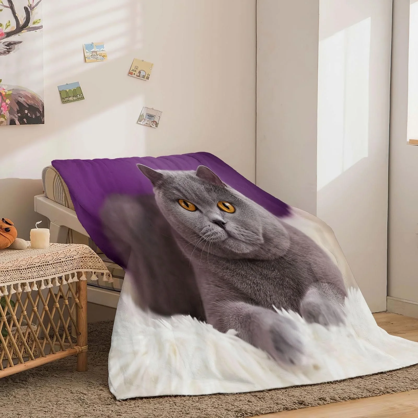 М'який плед Einfachheit Kätzchen Fotografie, високоякісний фланель, сіро-фіолетовий, 200 x 200 см, фото №3