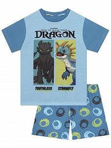 Піжама How To Train Your Dragon Беззубик для хлопчиків, коротка, літня - Фото 1