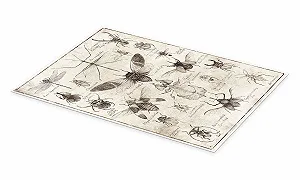 Постер Mike Koubou Insects II 40 x 60 см synthetic.ua - Фото 1