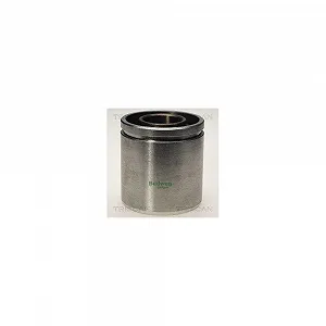 Поршень тормозного суппорта TRISCAN 8170 236029 - Фото 1