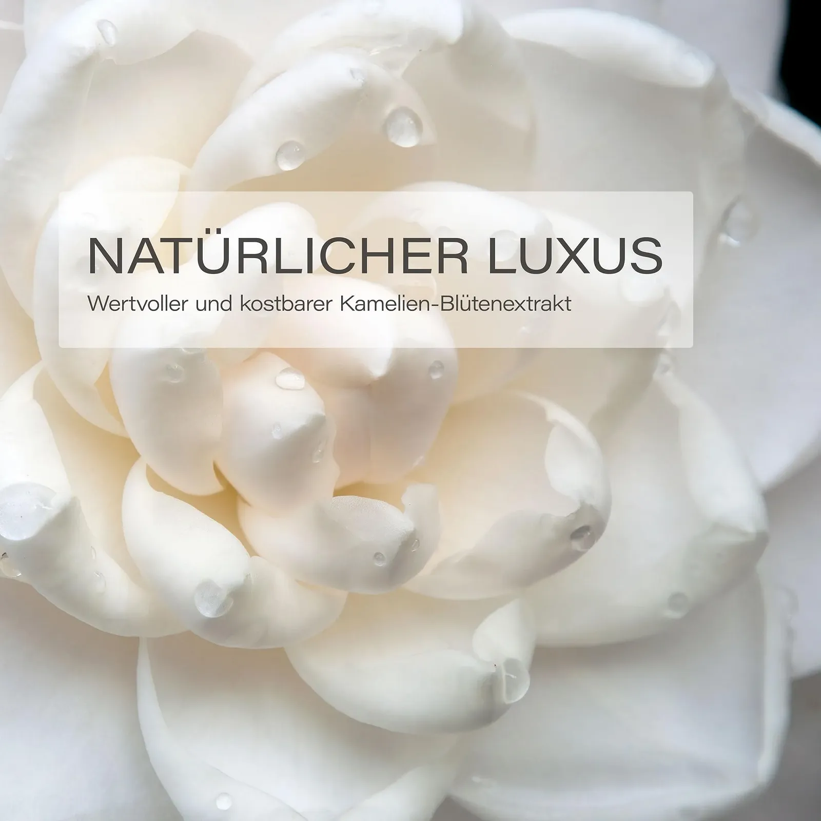 Крем для рук Leo & Lilo Набір з 4 шт. камелія 20 мл, фото №8