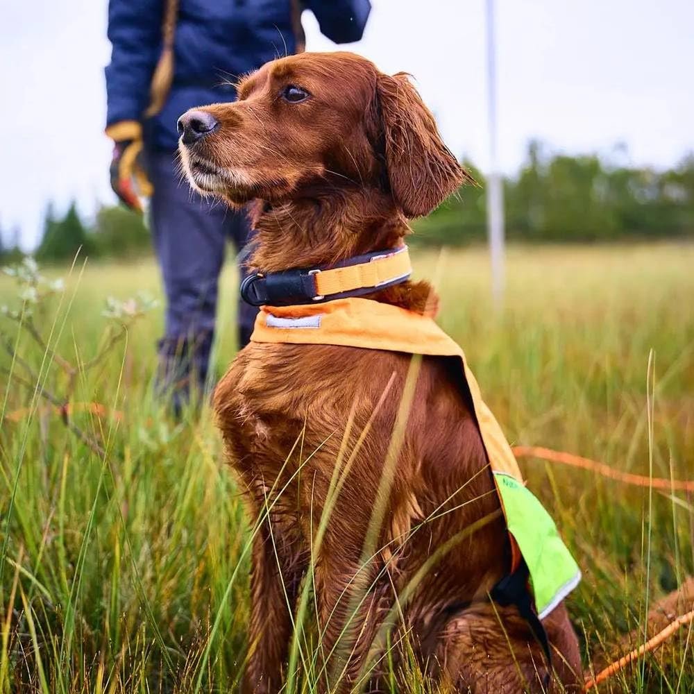 Нашийник Non-Stop Dogwear Protector 40 помаранчевий, фото №4 Нашийник Non-Stop Dogwear Protector 40 помаранчевий, фото №4