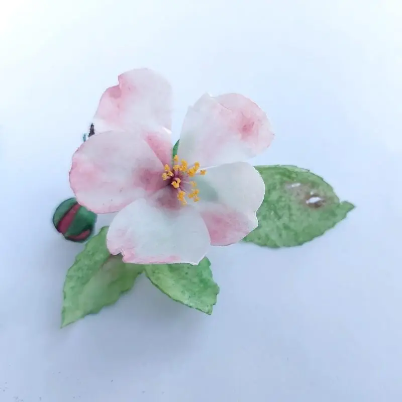 Вафельные цветы SiNegur Декор для торта Цветок яблони из вафельной бумаги. Ветка: 2 бутона, 3 листика, цветок, фото №1