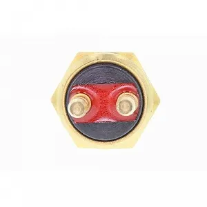 Датчик включения вентилятора радиатора VEMO V32-99-0007 synthetic.ua - Фото 1