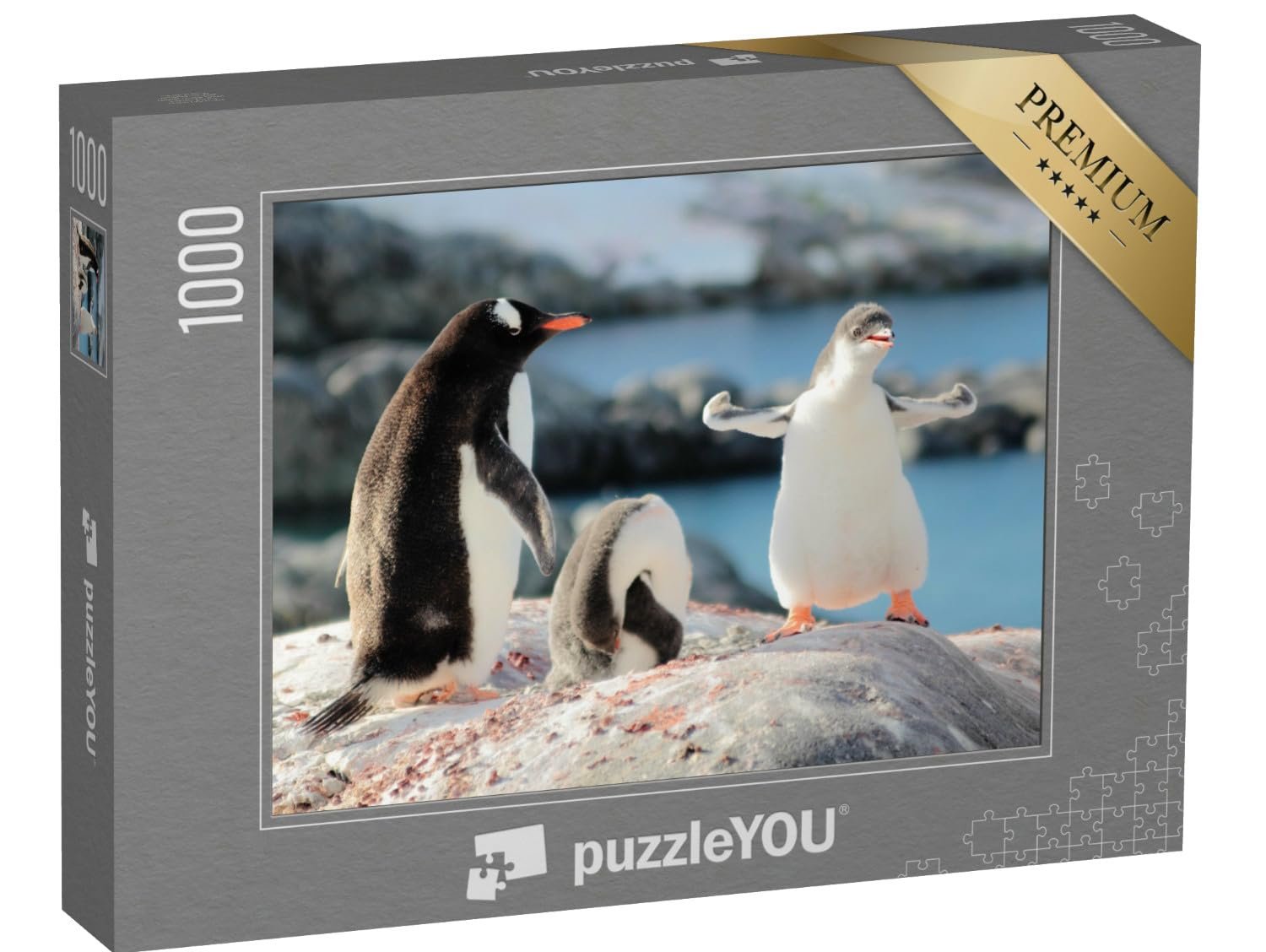 Пазл puzzleYOU Animals, Penguins, Exotic Animals & Trendy Animals Кто самый сильный пингвин? 1000 элементов, фото №1