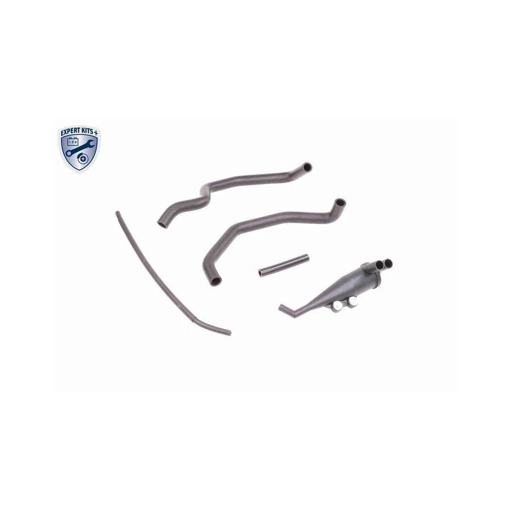 Ремкомплект, вентиляция картера VAICO V20-0004 EXPERT KITS + для BMW, фото №1