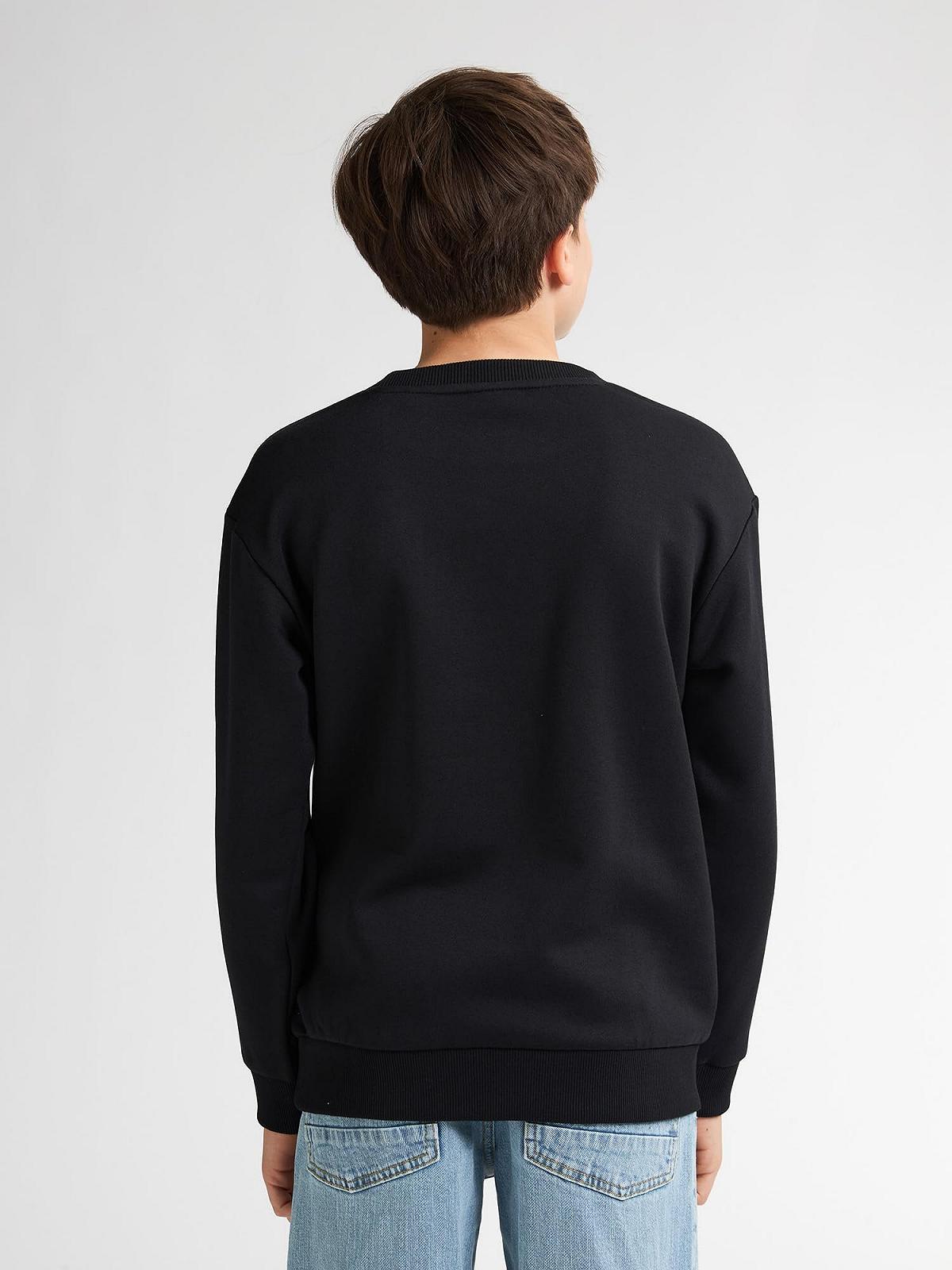 Кофта Petrol Industries Logo Adirondack, фото №4