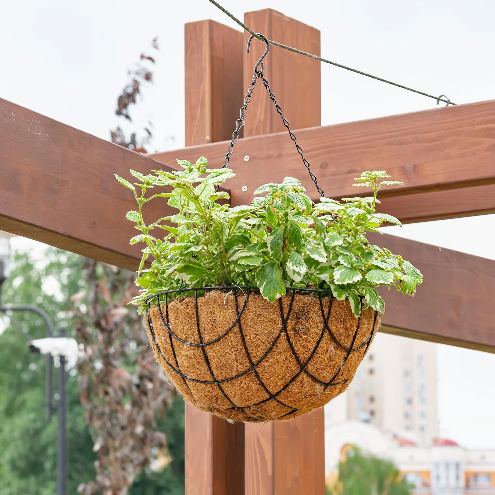 Ланцюжки для підвісних кошиків 8 шт. Метал 50 см Чорний З гачками та затискачами, фото №7