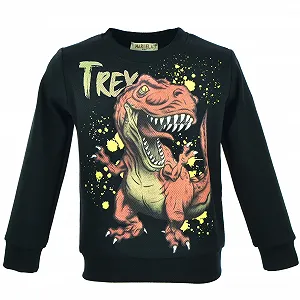 Джемпер Mariela Kids Динозавр для дітей Бавовна - Фото 1