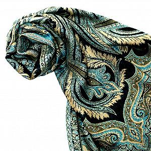 Платок Lorenzo Cana из натурального волокна, с бахромой 35 см x 160 см - 78115, зеленый synthetic.ua - Фото 1