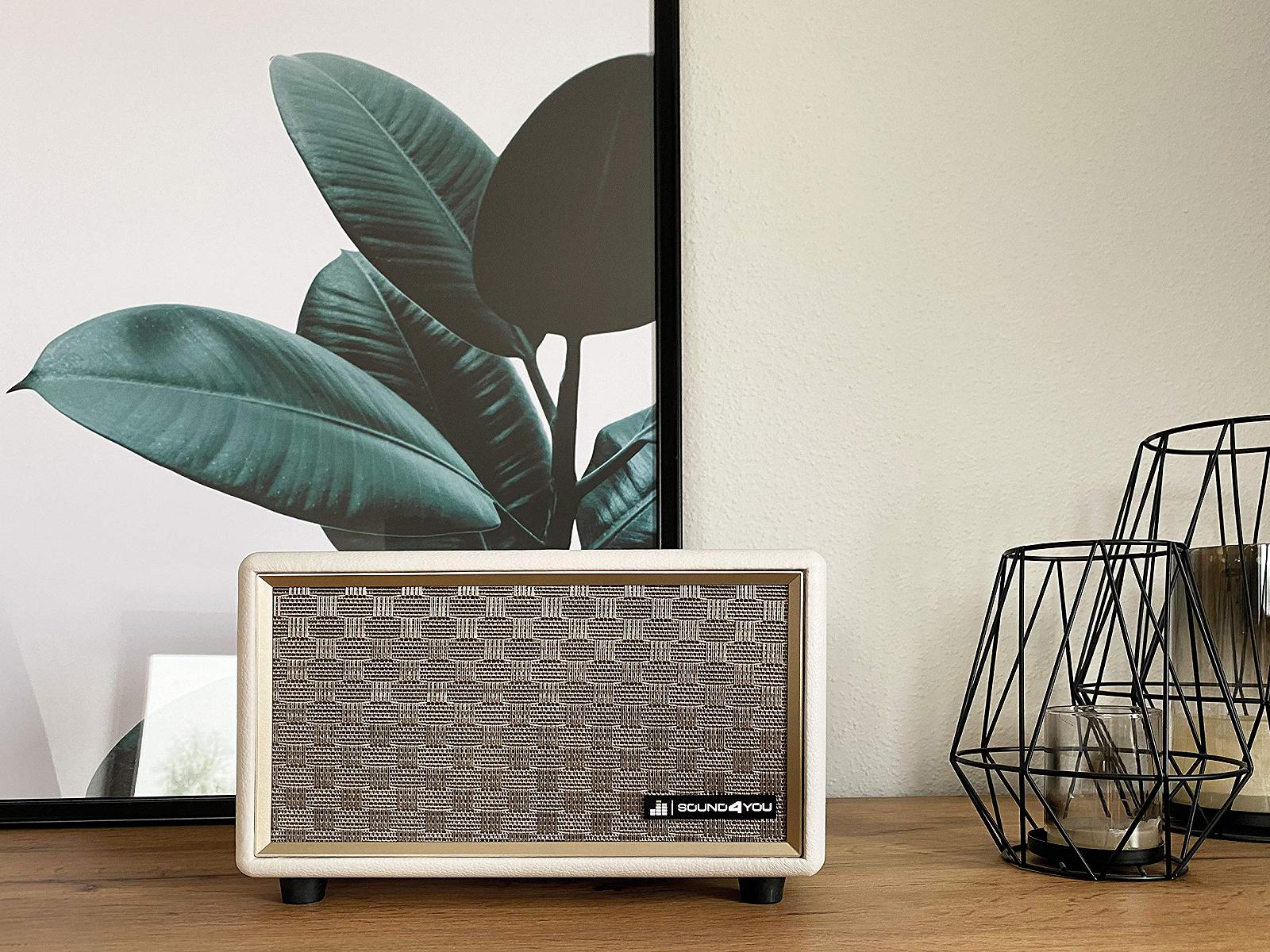 Колонка SCHWAIGER Retro 661712 Кожаный вид Деревянный корпус Белый, фото №5 Колонка SCHWAIGER Retro 661712 Кожаный вид Деревянный корпус Белый, фото №5