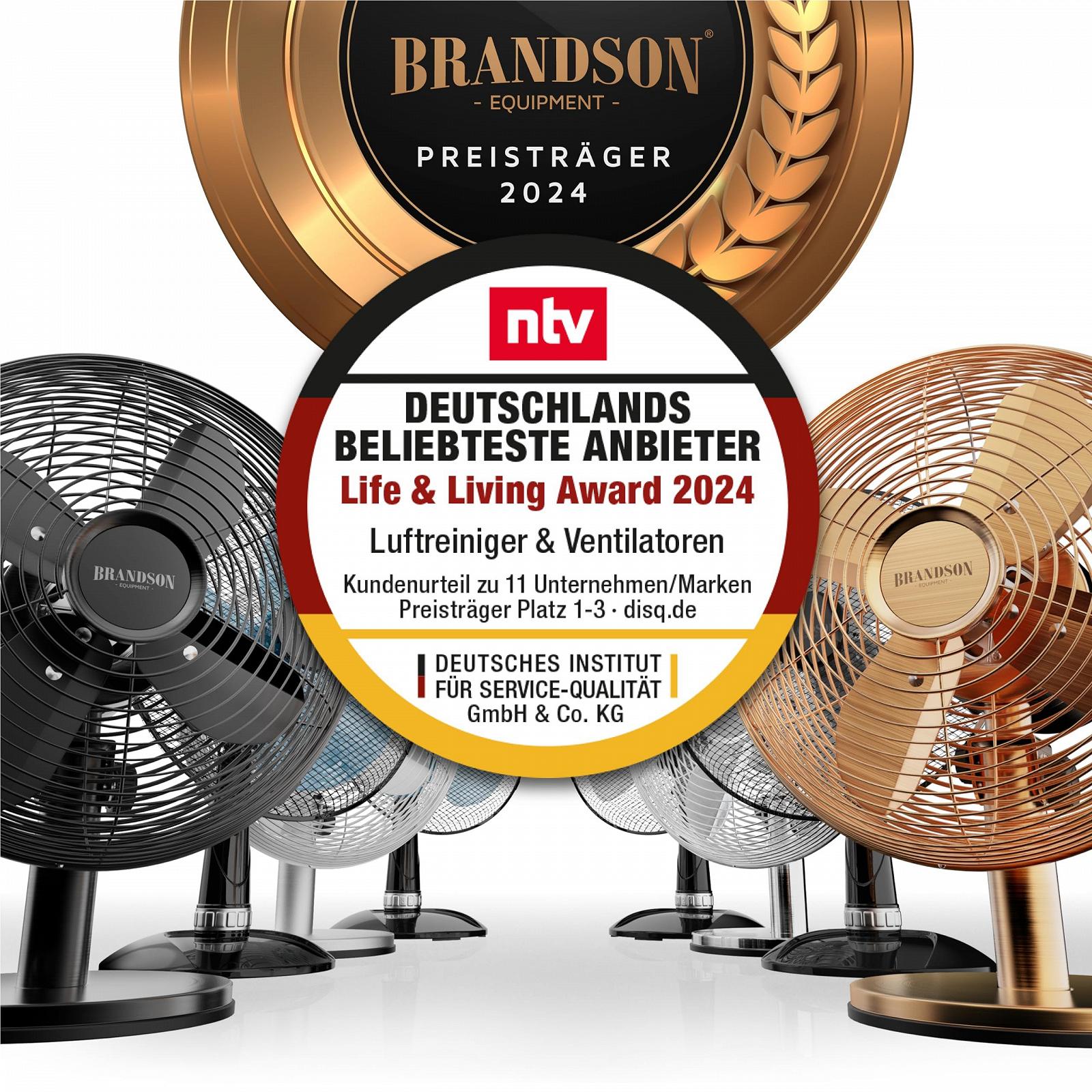 Вентилятор Настольный Brandson Retro Model 2020 Silverline, фото №2