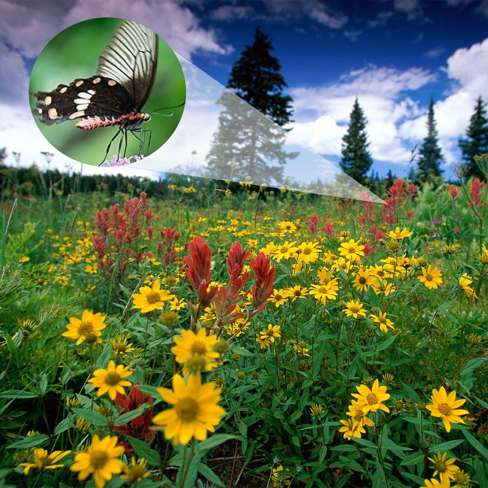 Монокуляр Good-Power мощный BAK4 FMC 10-30x42, фото №4
