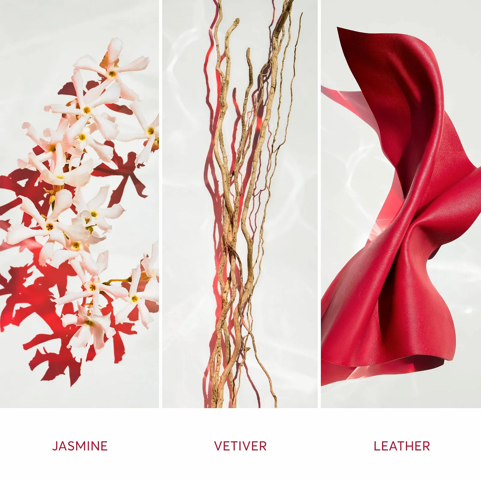 Парфумована вода BOSS ALIVE для жінок, фото №4