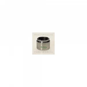 Поршень гальмівного супорта TRISCAN 8170 234026 - Фото 1