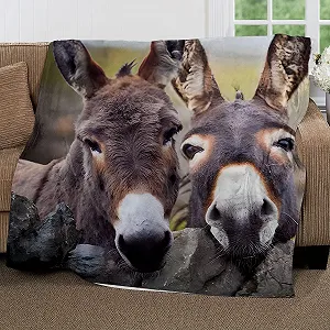 Покривало XCWYF М'яка Покривало для дивану Віслюк 180 x 200 см synthetic.ua - Фото 1