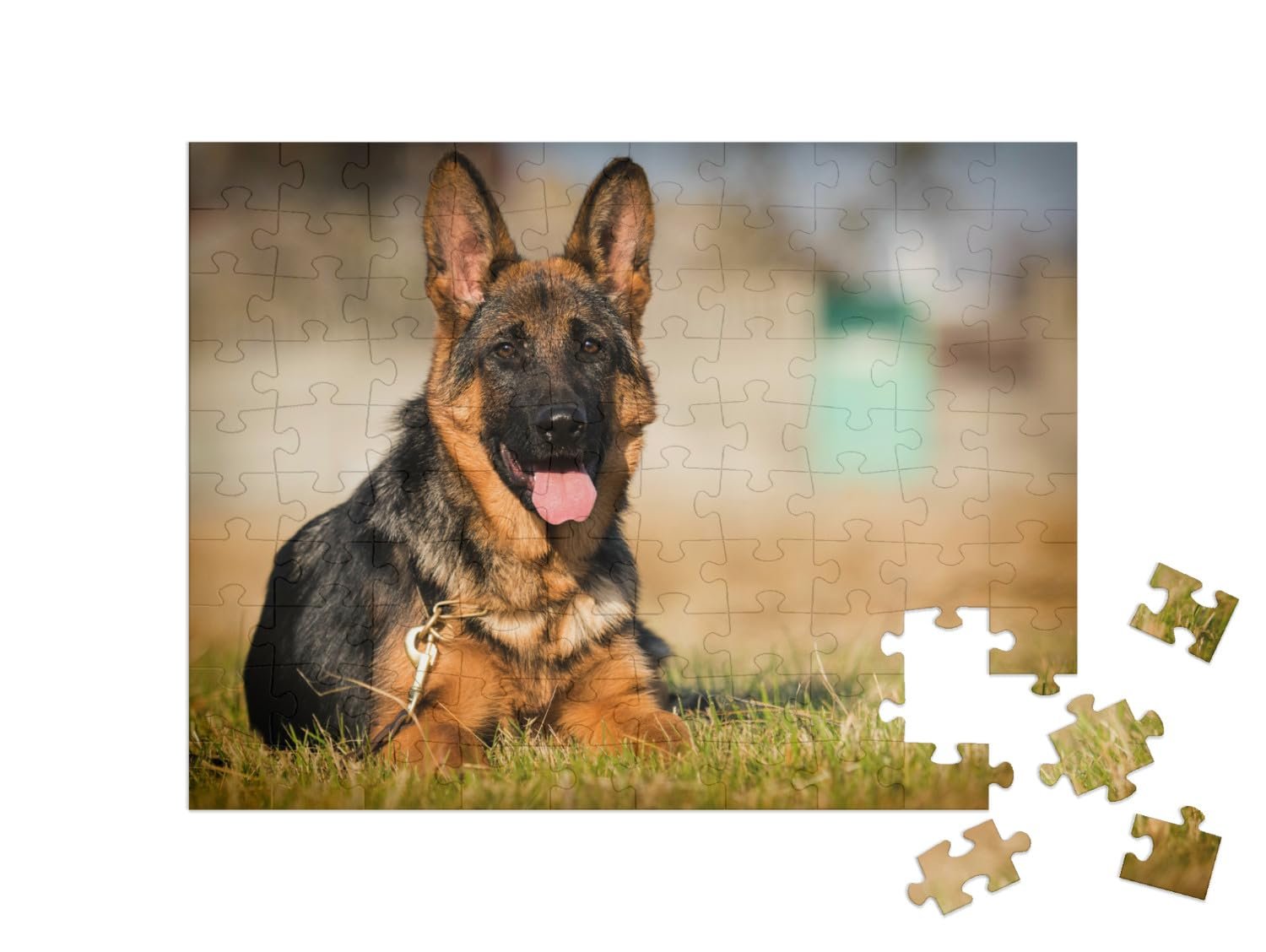 Пазл puzzleYOU Dog and Shepherd Puzzle Collection Щенок немецкой овчарки в возрасте пяти месяцев, лежащий в траве 100 деталей, фото №2 Пазл puzzleYOU Dog and Shepherd Puzzle Collection Щенок немецкой овчарки в возрасте пяти месяцев, лежащий в траве 100 деталей, фото №2