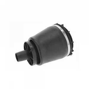 Пневматична пружинна підвіска VEMO V57-50-0002 - Фото 1