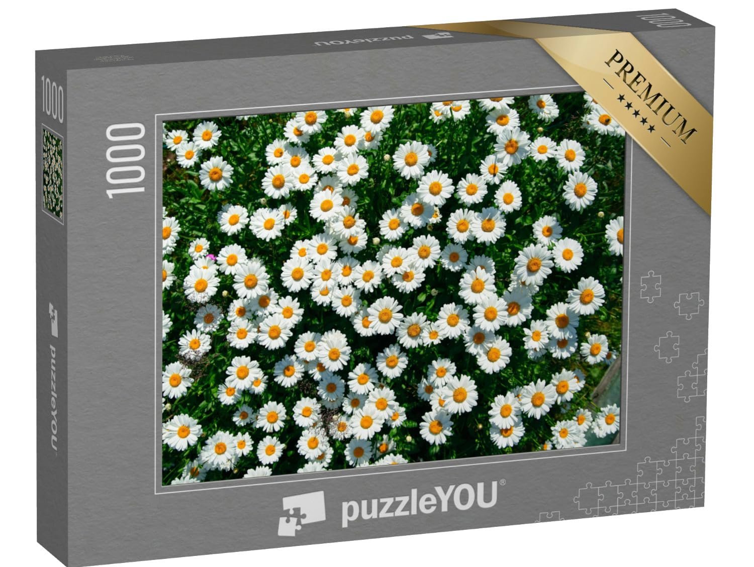 Пазл puzzleYOU Flower Meadows, Flowers & Plants Puzzle Collection Daisy in the Field from Above 1000 элементов, фото №1
