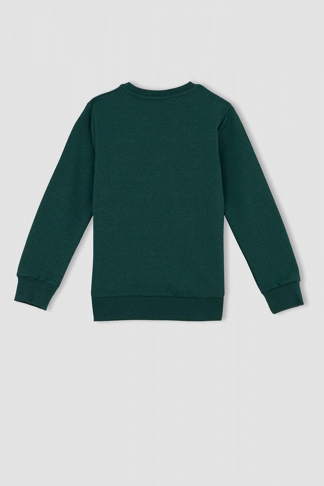 Толстовка DeFacto для хлопчиків, фото №3