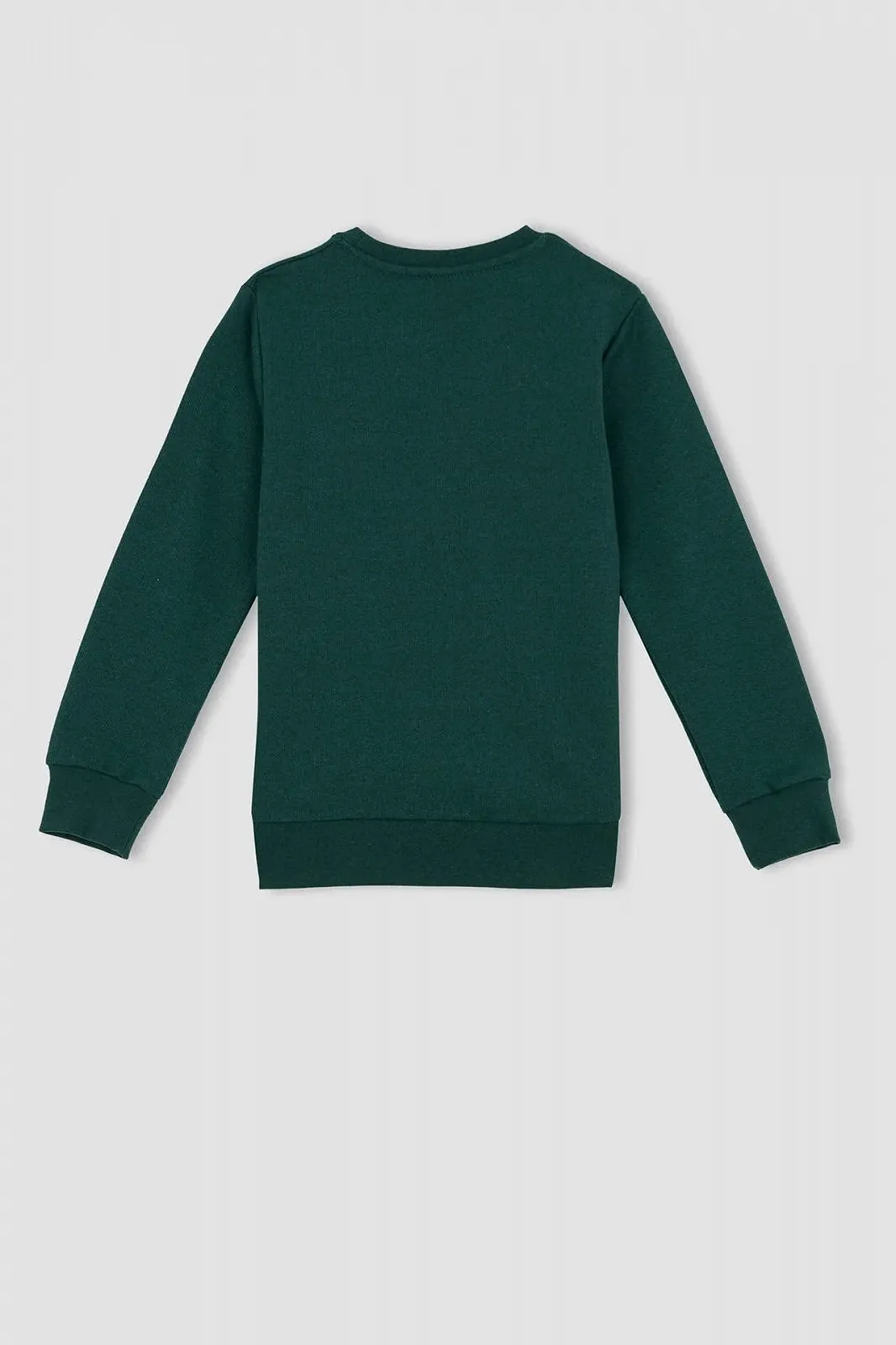 Толстовка DeFacto для мальчиков, фото №3