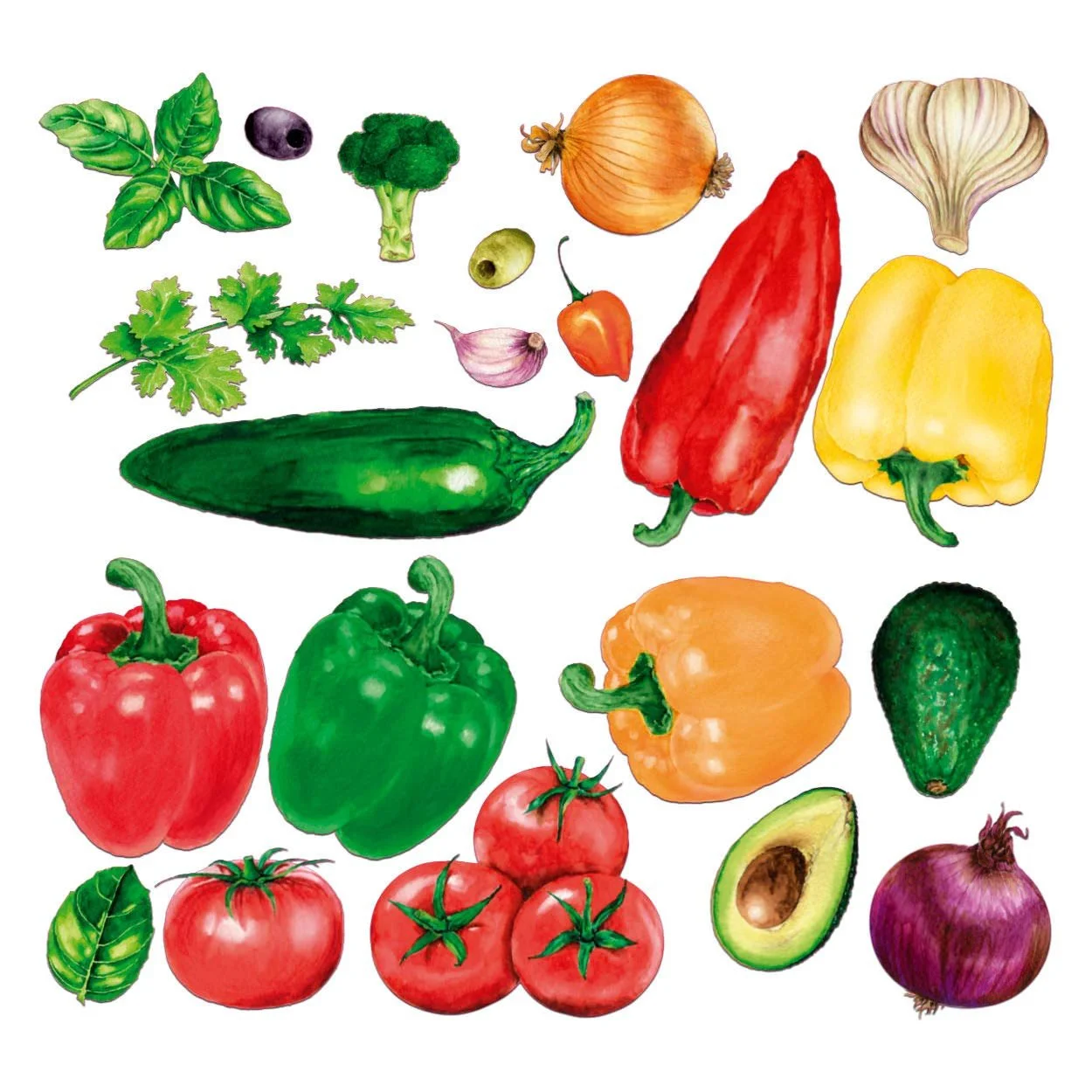 Наклейка на стіну Sunnywall Kitchen Enjoyment 21 Vegetables Watercolour Акварельні овочі, фото №1