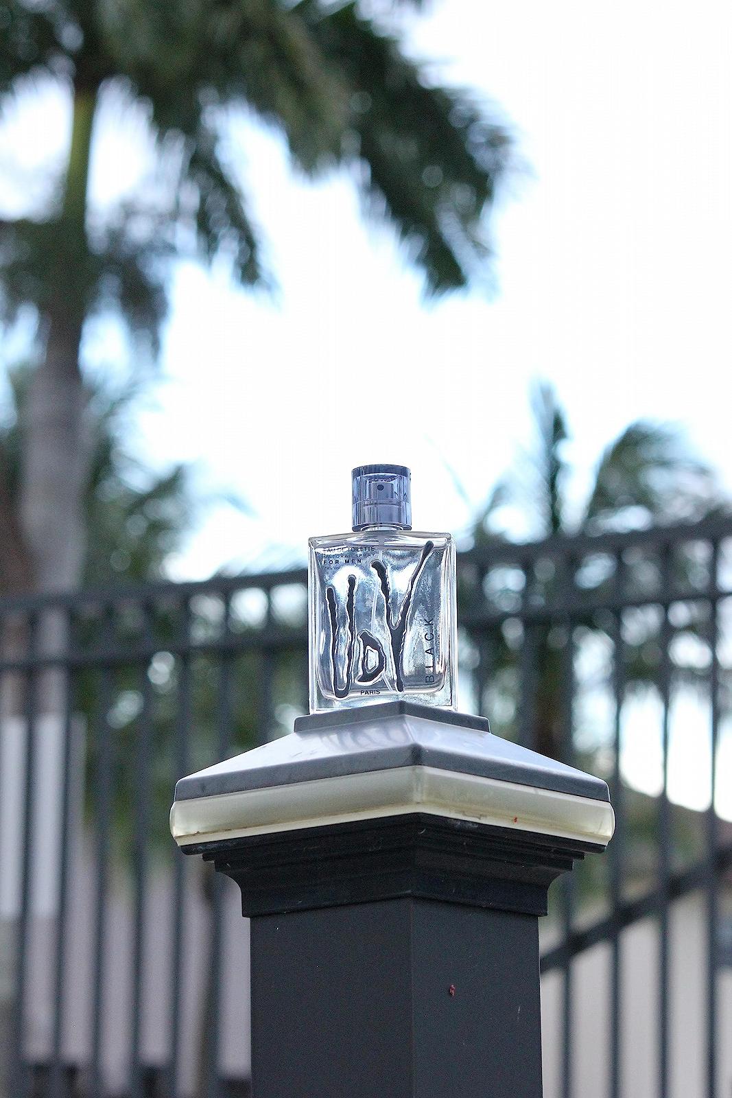 Eau de Toilette Urlic De Varens von Varens Black 100 мл, фото №5