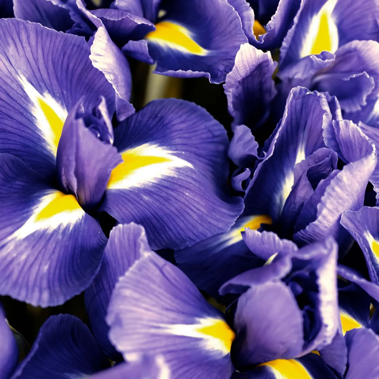 Eau de Parfum Ralph Lauren Polo Blue 200 мл, фото №5